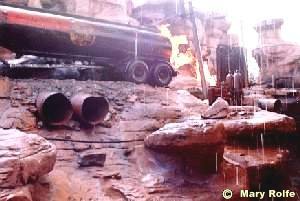 A whole lotta shakin'