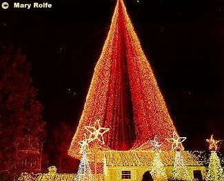 Osborne Lights Christmas Tree
